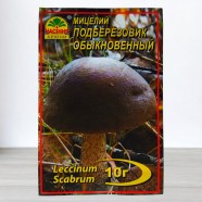 Міцелій гриба Підберезник звичайний, 10г